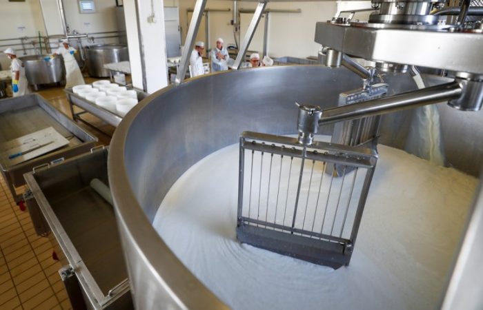 industria láctea calderas vapor biomasa
